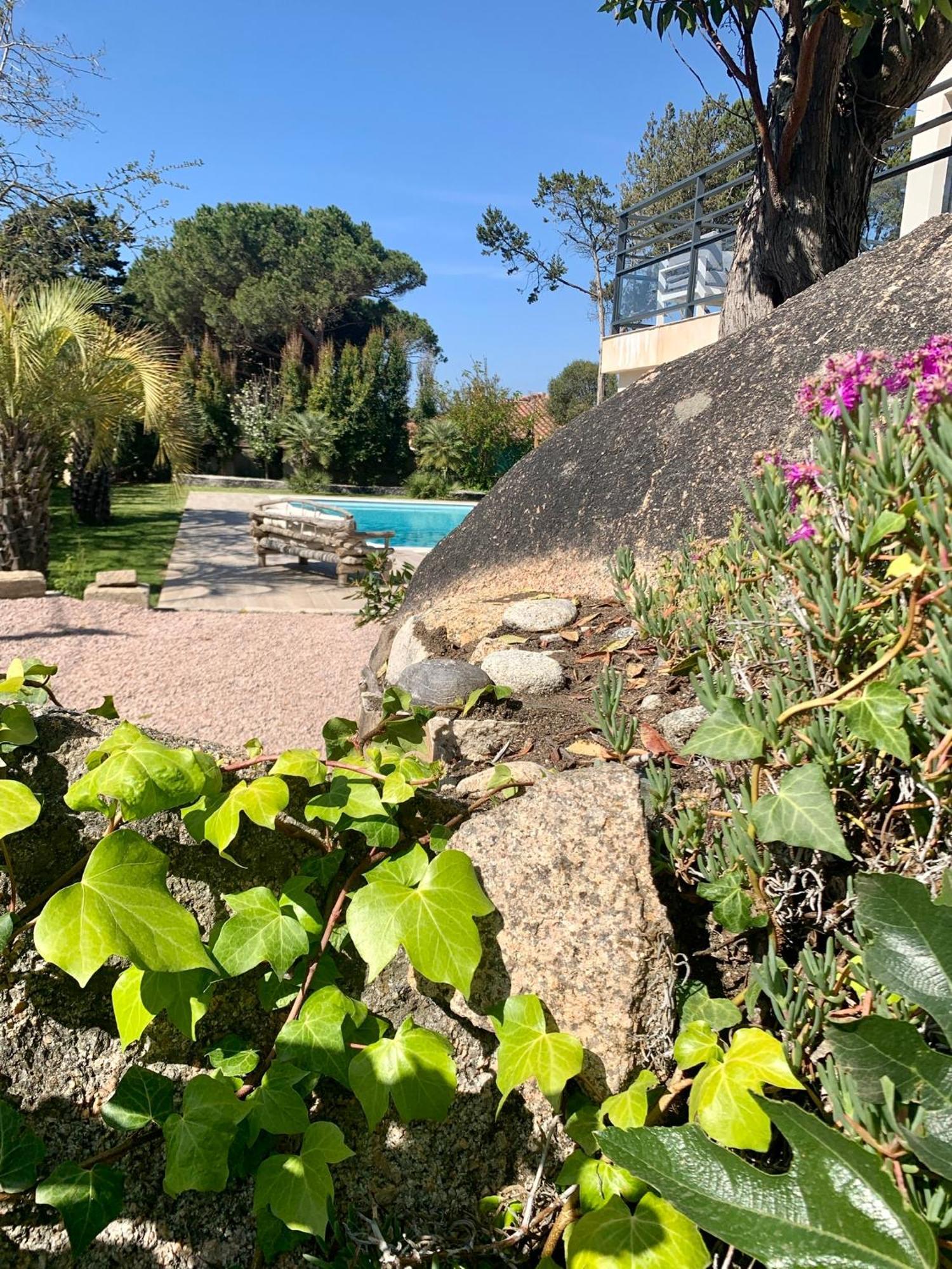 Villa Macalia Pietrosella Екстер'єр фото